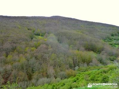 Cañones Ebro, Alto Campoo, Brañosera,Valderredible; excursiones en la sierra de madrid;madrid excu